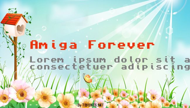 Amiga Forever example